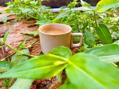 Samarth Atc-Beach Home Stay Ratnagiri Exterior photo